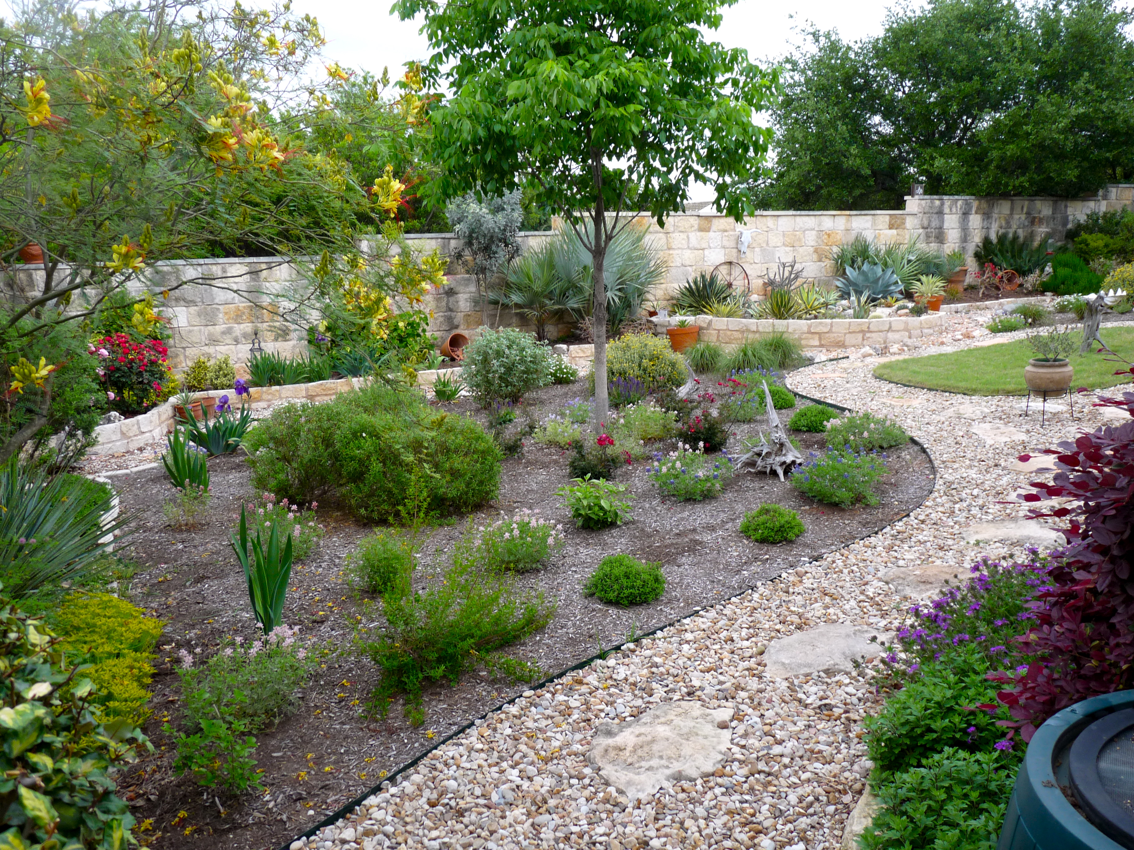April | 2013 | Central Texas Gardening